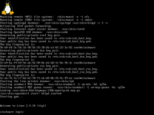 Slackware 8.1 login prompt. The single image of Tux (the Linux mascot) at the top of the screen represents there's only one CPU core.