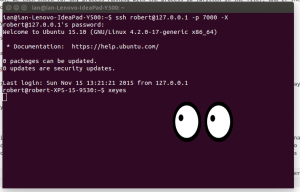 Tunnelling xeyes running on my work's workstation over the SSH tunnel